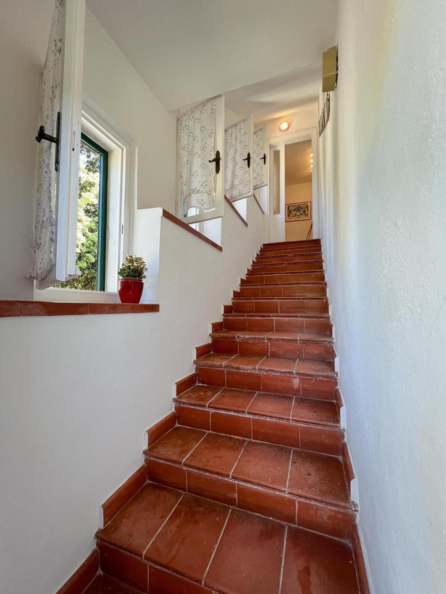 Azienda Agricola Sapereta Porto Azzurro Exterior foto